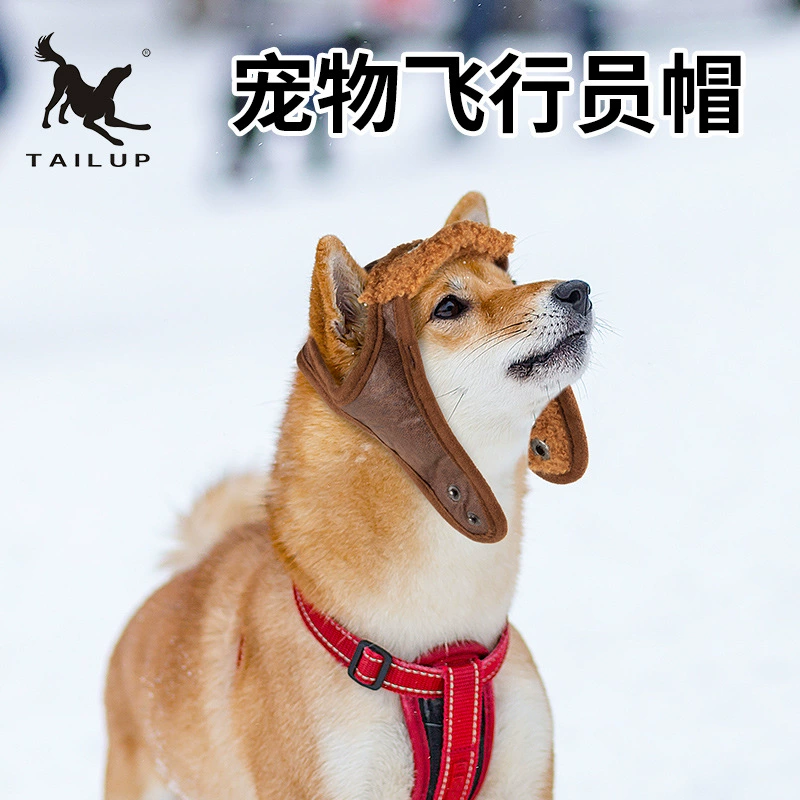 Товары для домашних животных осень и зима новая пилотная Кепка для домашних животных Европа и США ретро-мода теплая трансграничная фабрика Amazon