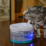 Элемент фильтра «Обновление воды для домашних животных» Джиндзинпет маленький оленей бог птица птица маленькая цветущая вода, питьевая машина общий элемент фильтра