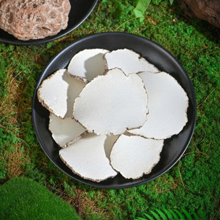5Ұ�⻢������邀��Ƭ��Ş�ꂀ�ﻢ�̾������`֥