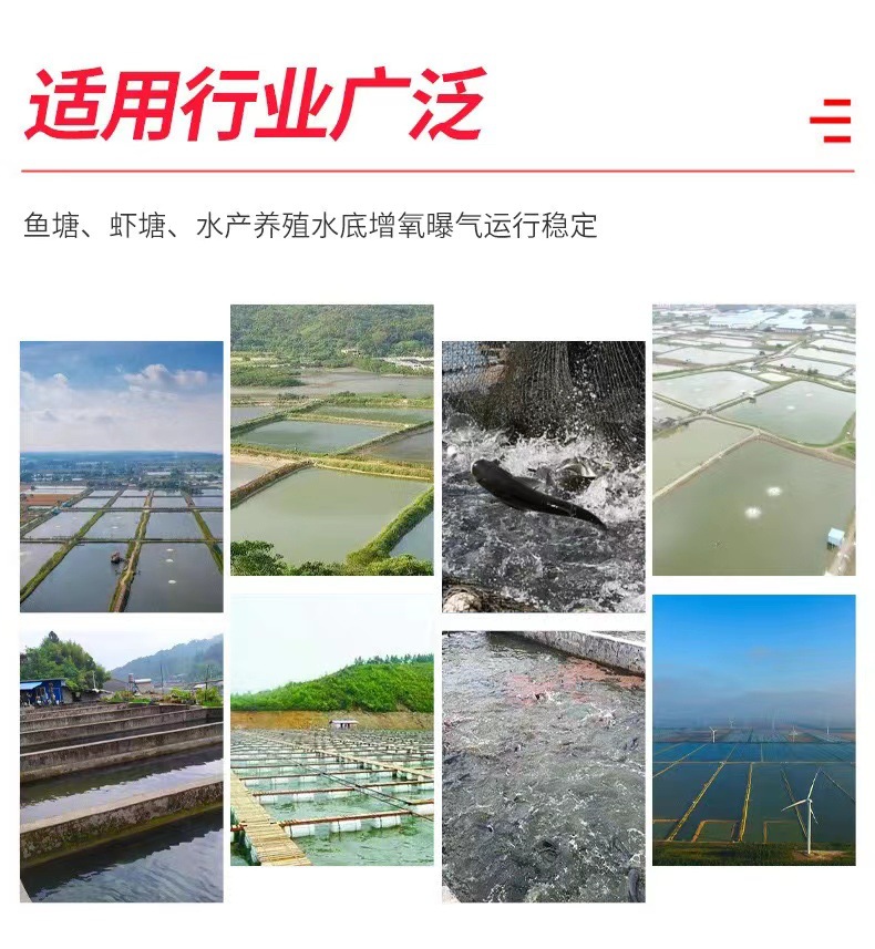 41a4534c43fef41c2c34e13d17d55a