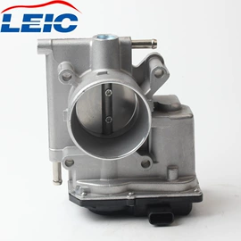 其他发动系统;节气门;油泵、油嘴