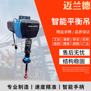 V Series Servo Electric Hoist Factory Goods Lifting Tool 300kg Suspension Intelligent Hoist