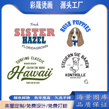 2025年 春款服饰 卫衣T恤 印花贴纸耐水洗