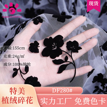 �����p��ֲ�q�黨�W������ ȹͯ�bȹ�B��ȹ���W��ֲ�qӡ������