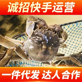 大闸蟹;腌制水产品