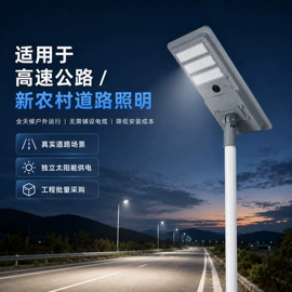 太阳能灯;道路照明灯;草坪灯