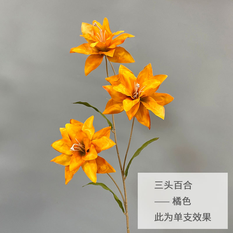 오렌지
