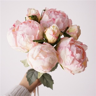 ������ș������ĵ������͹�߅��������ˇ������������N��߅