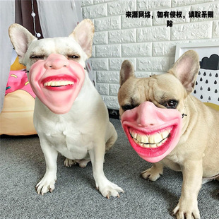 ���ﹷ�������߸�Ц���ֶ���΢���������״�Ц�촽�^��ů������