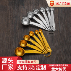 不锈钢砂光量勺套装带刻度烘培计量器跨境亚马逊调味勺咖啡豆匙器