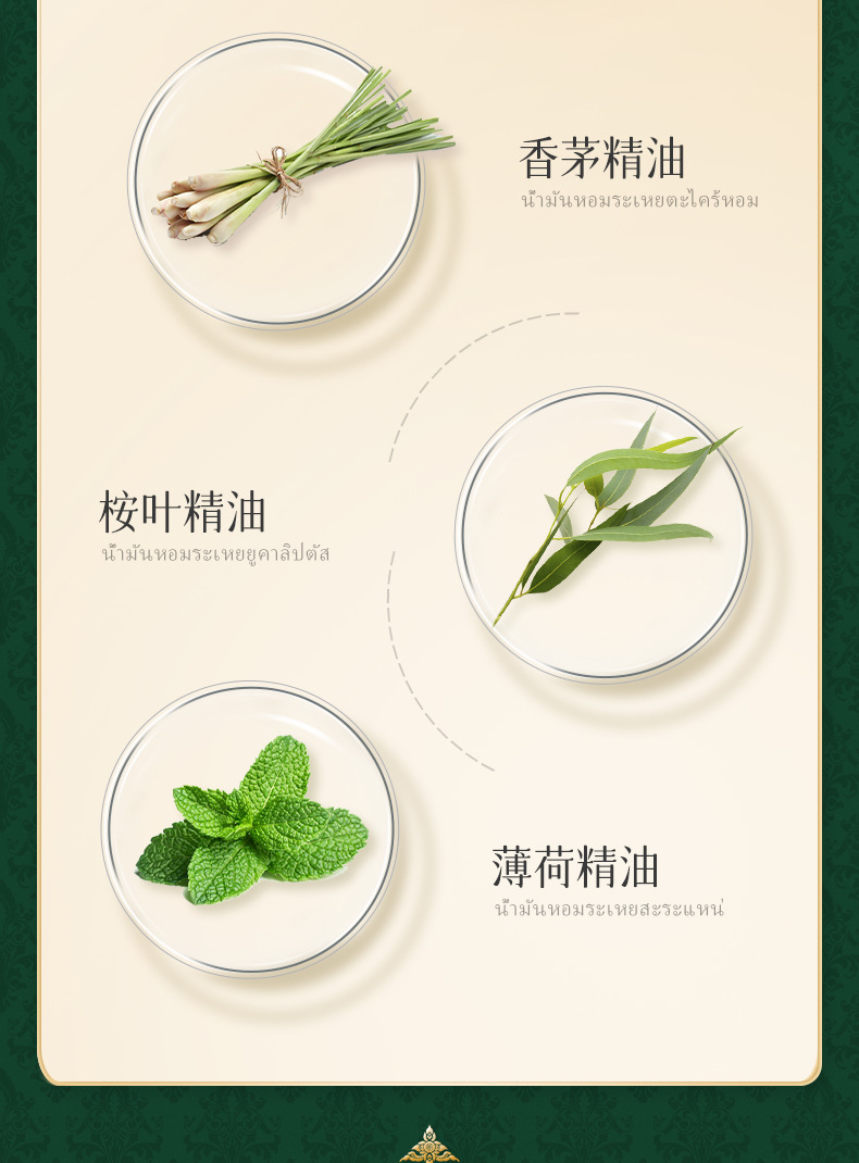 泰国卧佛-植物精油贴_07.jpg