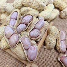 【2023年新货】农家水煮花生日晒干盐干白玉咸干咸味熟花生一斤装