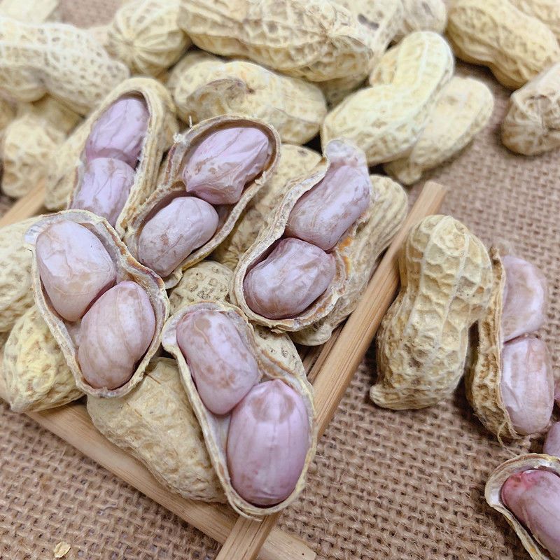 【2023年新货】农家水煮花生日晒干盐干白玉咸干咸味熟花生一斤装