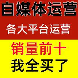 媒体课程变现抖音文案视频网运营全攻略营销自推广创业红视频教程