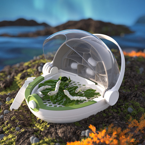 Scientific canned silkworm baby breeding space capsule children's insect observation box live animal breeding bucket silkworm breeding set