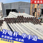 厂家供应钢筋混凝土电线杆电力水泥电杆10米12米15米混凝土电线杆