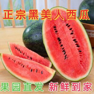 �F؛��l ����Խ�Ϻ��������� �V�����r����ˮ������ˮ�ݶ�5-10��