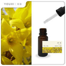 ��Ϣ�B�N�η������Ї� �h����ș����Weeping Forsythia�B�N����