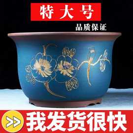 宜兴紫砂兰花盆陶盆花瓶绿萝多肉种菜特大号盆景盆陶瓷