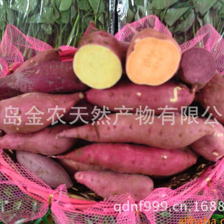 ��Ӧ�Ƹ����ۺ�������ʳԭ������ɫ��������������߲˷�