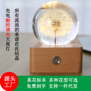 [Valentine's Day Night Light Gift] Touch-Touch Dimming Dandelion Crystal Ball for Your Girlfriend, Permanently Preserved Museum Packaging