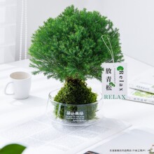 �������Fڡ̦�\��ֲ���҃��k������Gֲ��w���������F���ļ�����