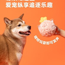 ���������ë�q�l��Ȯ����ҧ�␞С���������