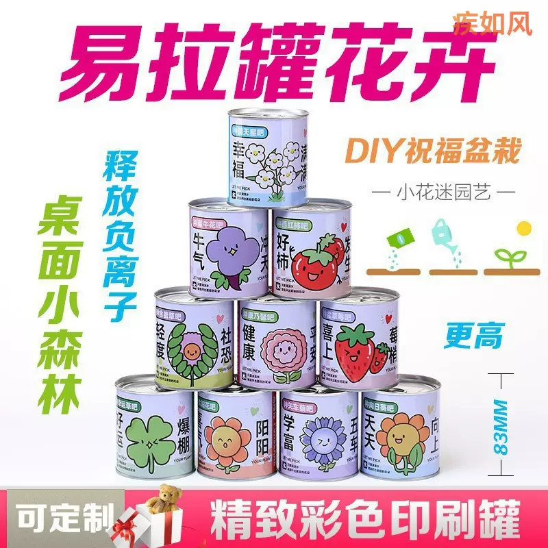 儿童送全班易拉罐植物盆栽桌面室内花卉摆件小学生迷你绿植好养活