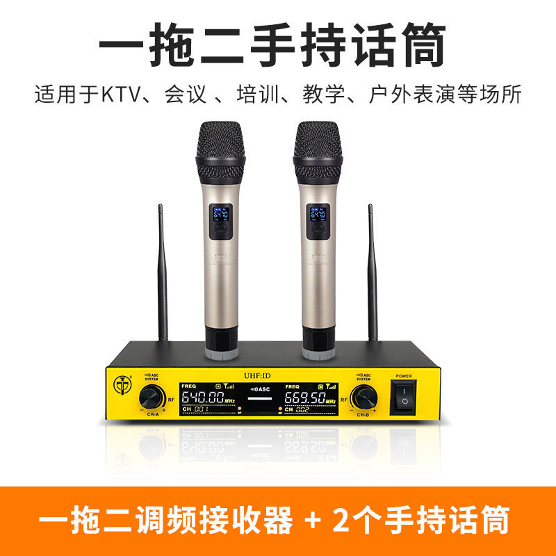 Micrófono inalámbrico TMD/Tengmandi de doble canal FM U-band Bluetooth para cantar, conferencias, KTV, verdadera diversidad