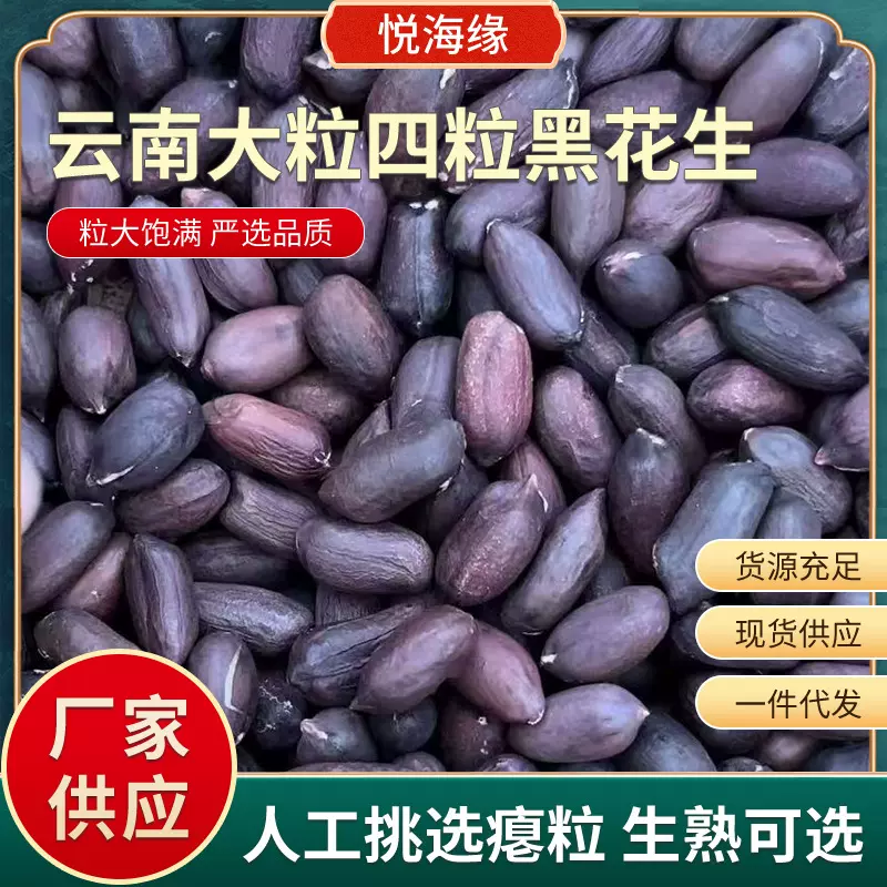云南黑花生大粒黑花生 酒店专供 新货晒干黑皮花生米 云南直发