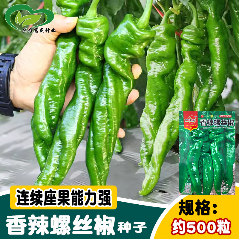 Yanyou Spicy Pepper Seeds Balcony Potted Plants Highly Spicy Fruit Many Green Peppers Pepper Seeds Vegetable Garden Farm Vegetables
