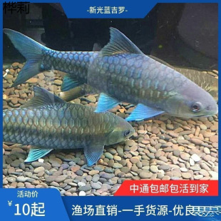 �¹ⴽ�{���_�~�絭ˮ�~�^�p�~�����~����ԭ���_�~�Lˮ�~Ⱥ�B���~
