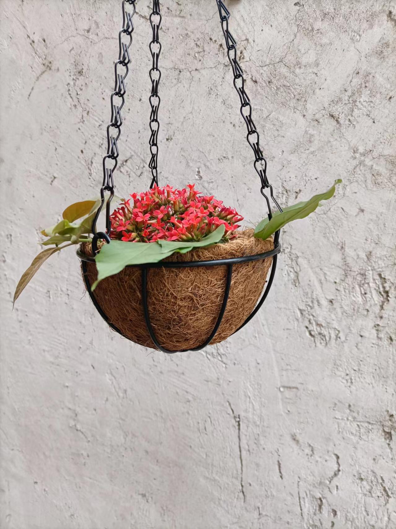 Directo de fábrica de palma de coco colgante cesta colgante de flor tejida olla de hierro gancho de la pared colgando maceta suculenta