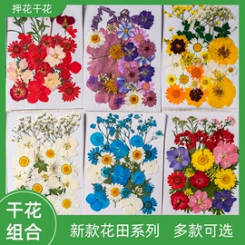干花;拼插类玩具;科教玩具