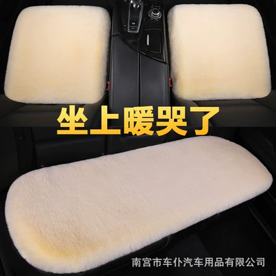 Wool pad: Heated Cold-Proof Warm Pad High-End