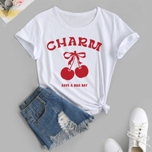 ���QT�� charm ���� ��ĸ �����������uͨ�·��羳؛Դ���R�d