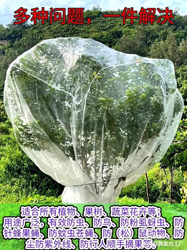 防鸟防虫网罩果树蔬园艺防冰雹病虫害蚊虫果蝇针蜂透明白纱网套罩