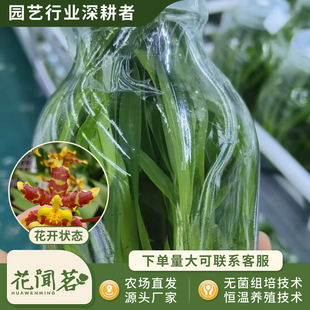 �л������m0827��������ƿ��M�����״���҃������Ի�������r��