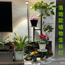 批发全光谱植物生长补光灯室内落地式家用多肉花卉绿植上色光