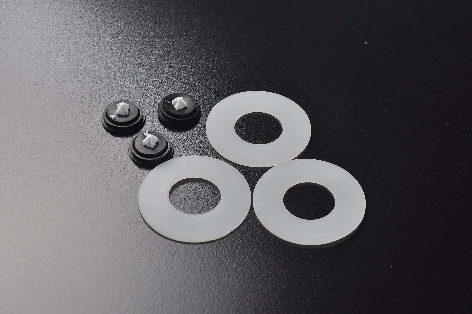 CSC_0041