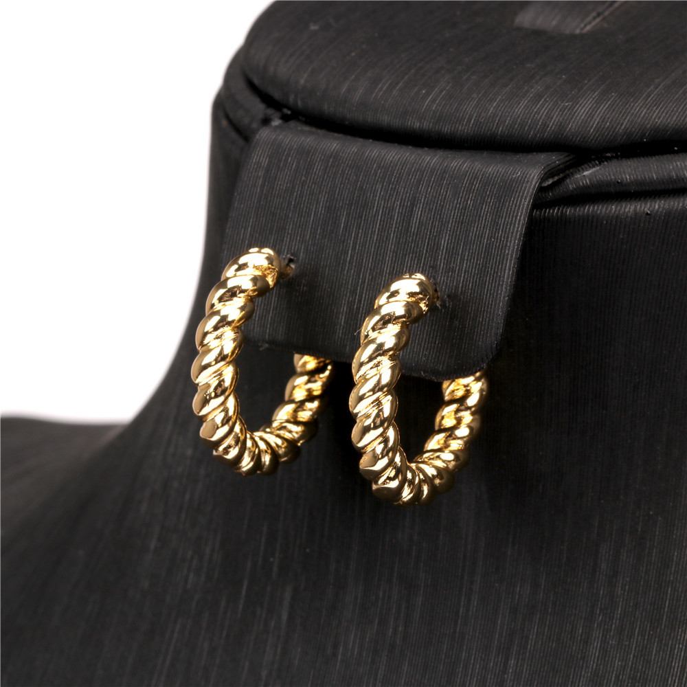Retro Twist Spiral Geometric Metal Earrings display picture 5