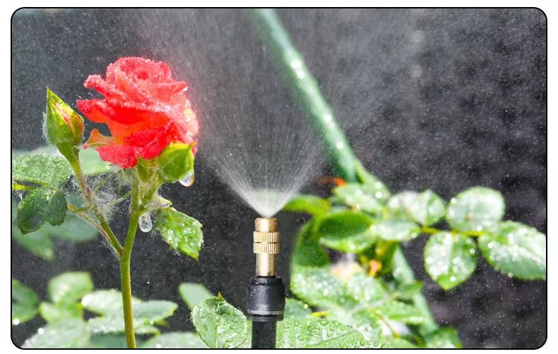 微信图片_20220928205920