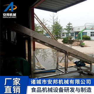 全新一代辣椒风选机毛豆风选机大蒜去皮机自动不锈钢筛分机