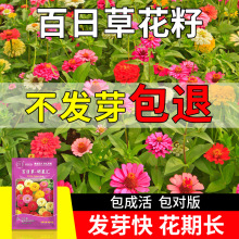 ղݰNذ׻ͥԺ̨ܷNӰվղ߻N