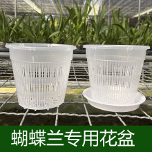 �Ӻ�ظ���������m͸��͸�����ϻ��������mʯ���Nֲ�ױP����