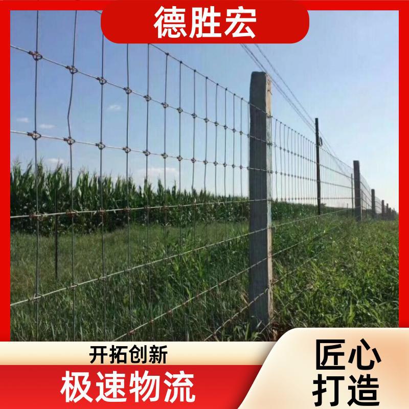 牛栏网 草原牛羊养殖围栏网 圈地防护网 畜牧业隔离网