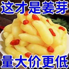 山东特产枸杞嫩姜芽泡菜泡嫩姜枸杞泡姜芽生姜腌制山东姜