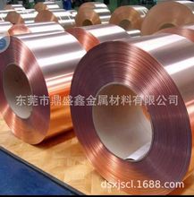 ��ʢ�ι������~��C1100 ���~�z ����~���~�zT2�t�~���P�z ���~��