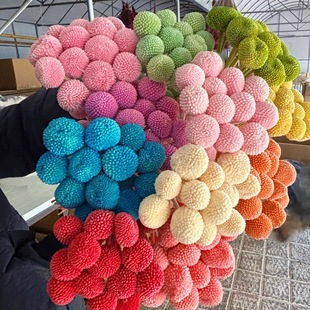 �S����ɻ��������S���20֦�zӰ�������ϰ���ϏS���S���������