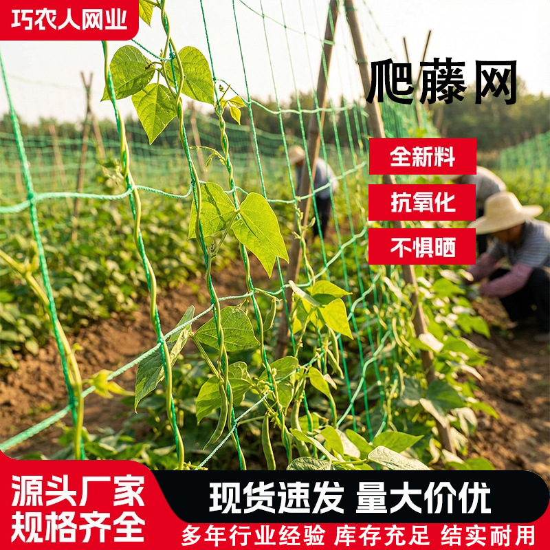 植物种植攀爬网园艺格子支撑方格网黄瓜西红柿爬藤网豆角爬藤网